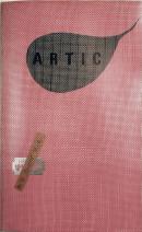 Cover zur Artic Ausgabe 10 - Stimme